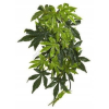 Exo Terra Silk Abutilon L