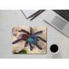 Podkładka pod mysz pająk CARIBENA VERSICOLOR