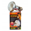 ExoTerra Intense Basking Spot 50W