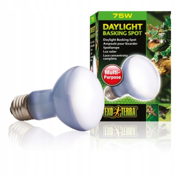 Exo Terra Daylight Basking Spot 75W