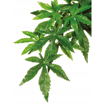 Exo Terra Silk Abutilon S