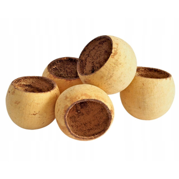 BEL CUP susz egzotyczny 5-7 cm