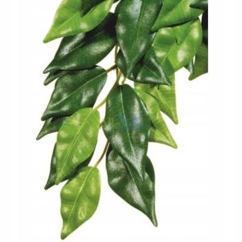 Exo Terra Silk Ficus M