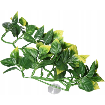 Exo Terra Amapallo S