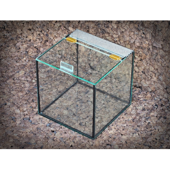 Terrarium szklane górne otwieranie typu klapka 25 x 25 x 25 cm