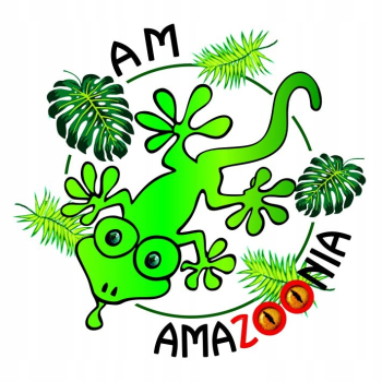 Podkładka pod mysz pająk CARIBENA VERSICOLOR