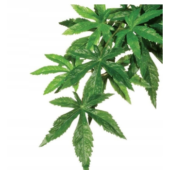 Exo Terra Silk Abutilon L