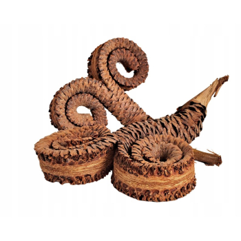 Rogi palmowe kręcone 12-17 cm