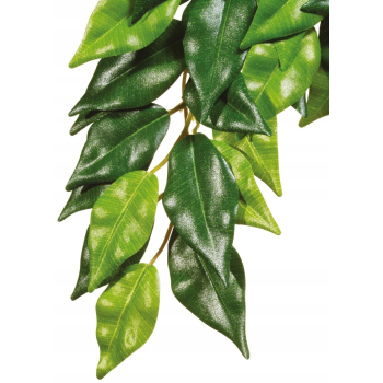 Exo Terra Silk Ficus S