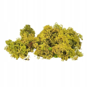 Mech chrobotek FIŃSKI 100g