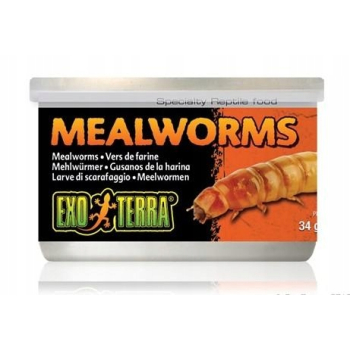 Exo terra Mealworms Mączniki w puszce 34 g