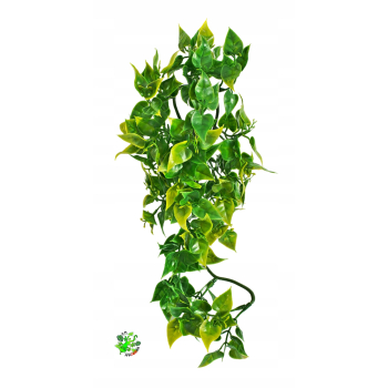 Zoo Med Mexican Phyllo L 56 cm