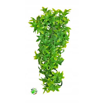 Zoo Med Congo Ivy Small 36 cm