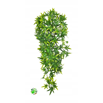 Zoo Med Cannabis Medium  46 cm