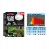 Repti Planet Żarówka grzewcza Daylight Frosted 100W