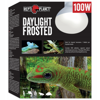 Repti Planet Żarówka grzewcza Daylight Frosted 100W