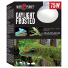 Repti Planet Żarówka grzewcza Daylight Frosted 75W