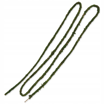 Repti Planet Liana z mchem 200 cm/1 cm