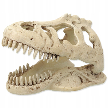 Repti Planet Czaszka dinozaura T-rex
