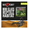 Repti Planet Terrarium szklane 20x20x20 cm