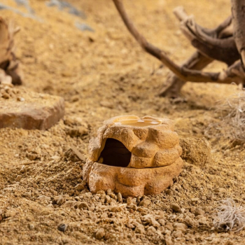 Exo Terra Big Rock ceramiczna dwuczęściowa WILGOTNA KRYJÓWKA z miską S
