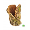 TUBA DĘBU KORKOWEGO średnica 14-18 cm, długość 32-37 cm