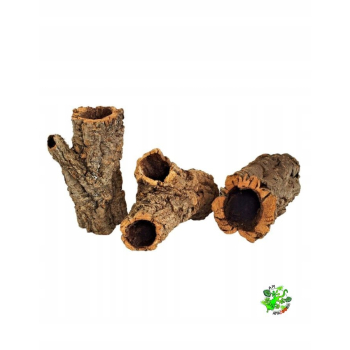 TUBA DĘBU KORKOWEGO średnica 14-18 cm, długość 32-37 cm