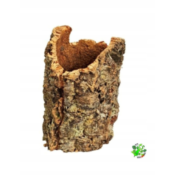 TUBA DĘBU KORKOWEGO średnica 14-18 cm, długość 32-37 cm