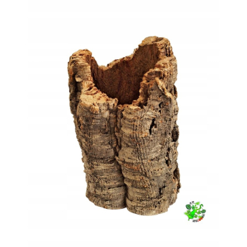 TUBA DĘBU KORKOWEGO średnica 14-18 cm, długość 32-37 cm