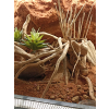 Exo Terra Stone Desert Red Czerwony piasek z gliną 5 kg