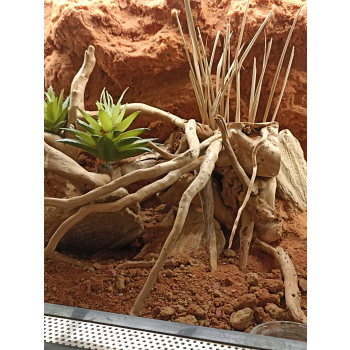 Exo Terra Stone Desert Red Czerwony piasek z gliną 5 kg