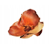 PALM CAP susz egzotyczny 9-12 cm