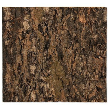 Repti Planet Tło z naturalnego korka do terrarium 30x30 cm