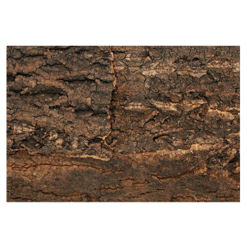 Repti Planet Tło z naturalnego korka do terrarium 30x30 cm