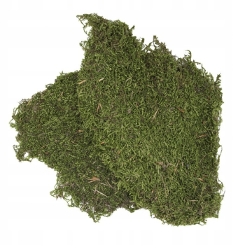 Terra Natura Mech płaty 100g