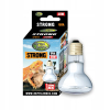 Reptile Nova Strong 25W