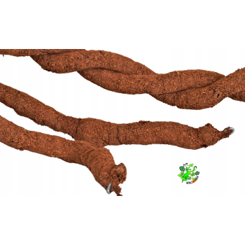 Liana kokosowa 1,5cm/200cm