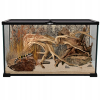 Repti Planet szklane Terrarium 50 x 30 x 25 cm