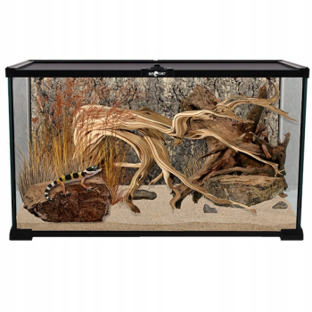 Repti Planet szklane Terrarium 50 x 30 x 25 cm