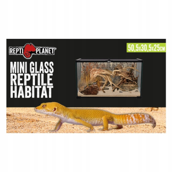 Repti Planet szklane Terrarium 50 x 30 x 25 cm