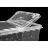 Braplast Pojemnik hodowlany BREEDING BOX 26 x 17,5 x 11,5 cm