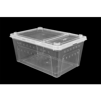 Braplast Pojemnik hodowlany BREEDING BOX 26 x 17,5 x 11,5 cm