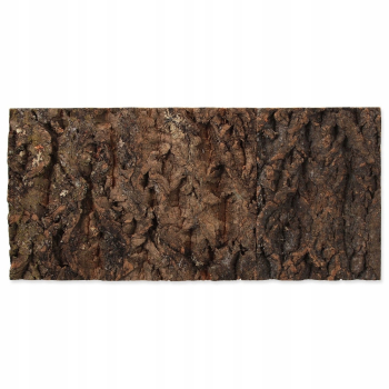 Repti Planet Tło z naturalnego korka 50 x 25 cm