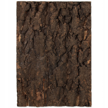 Repti Planet Tło z naturalnego korka 30 x 45 cm