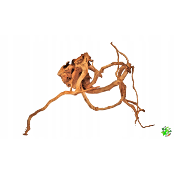 RED MOOR WOOD NANO S 15-25 cm