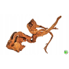 CRADLE WOOD M 25-35 cm
