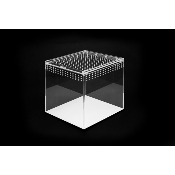 Terrarium akrylowe zamykane na magnes dla ptasznika 15 x 15 x 15 cm