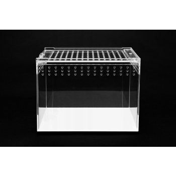 Terrarium akrylowe zamykane na magnes dla ptasznika 20 x 15 x 15 cm