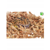 Mech torfowiec,sphagnum, dla żaby, do ukorzeniania roślin 150 g