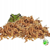 Mech torfowiec, spagnum sphagnum, dla żaby, do ukorzeniania roślin 500 g